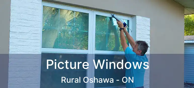  Picture Windows Rural Oshawa - ON