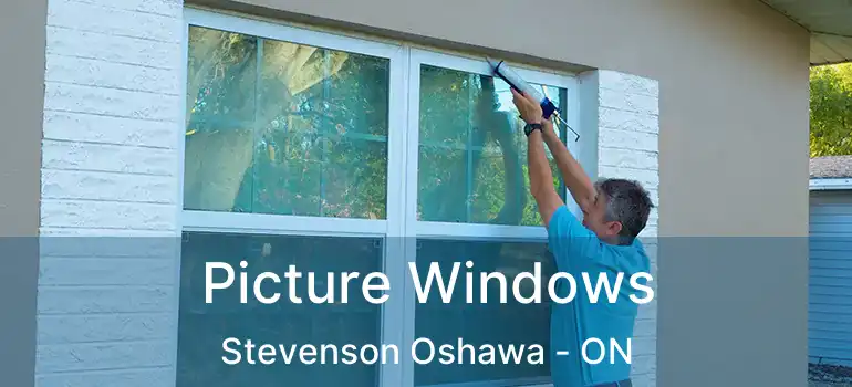  Picture Windows Stevenson Oshawa - ON