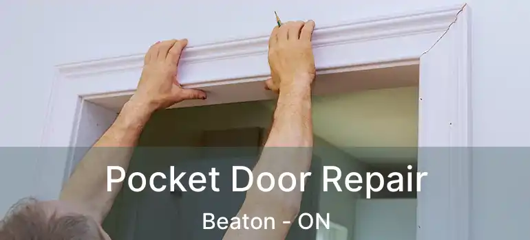  Pocket Door Repair Beaton - ON