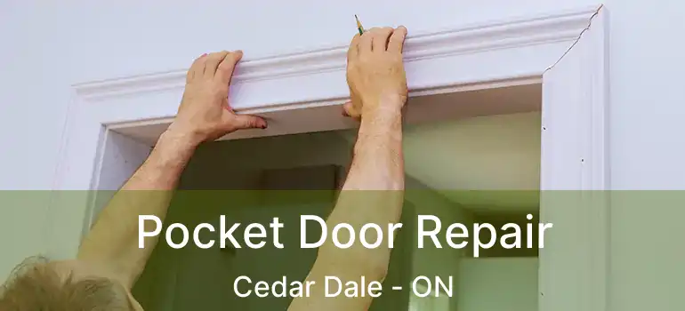  Pocket Door Repair Cedar Dale - ON