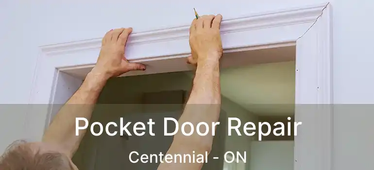  Pocket Door Repair Centennial - ON