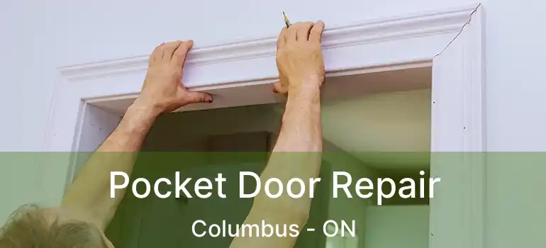  Pocket Door Repair Columbus - ON