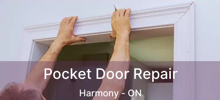  Pocket Door Repair Harmony - ON