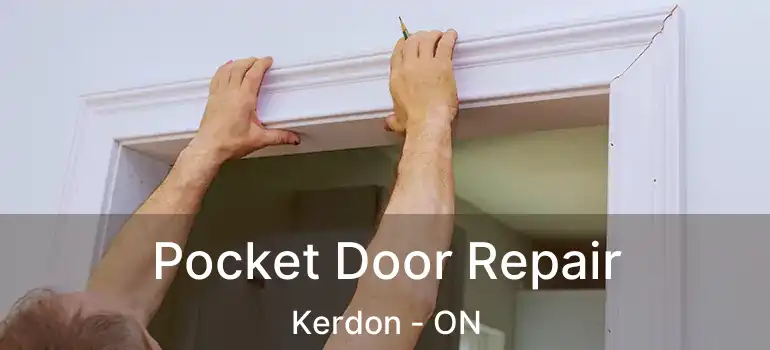  Pocket Door Repair Kerdon - ON