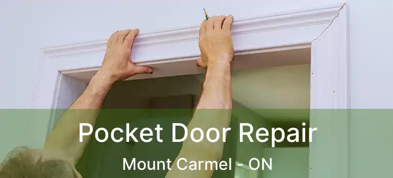  Pocket Door Repair Mount Carmel - ON