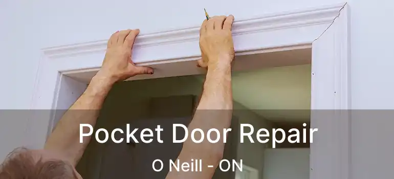  Pocket Door Repair O Neill - ON