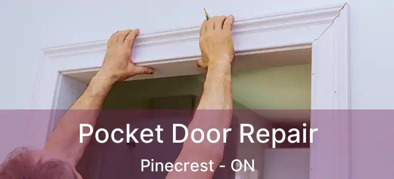  Pocket Door Repair Pinecrest - ON