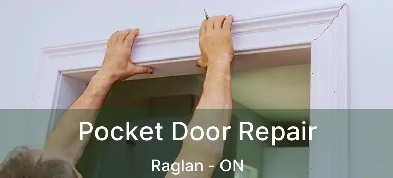  Pocket Door Repair Raglan - ON