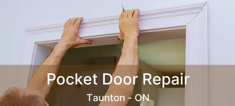  Pocket Door Repair Taunton - ON