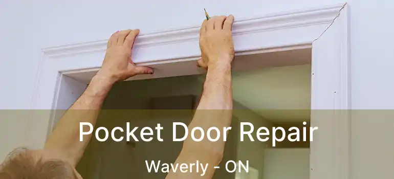  Pocket Door Repair Waverly - ON