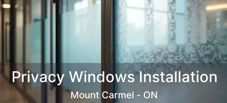  Privacy Windows Installation Mount Carmel - ON