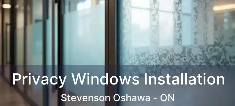  Privacy Windows Installation Stevenson Oshawa - ON