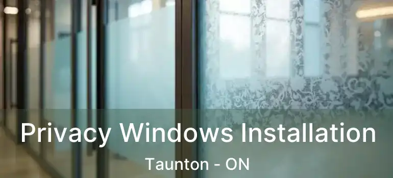  Privacy Windows Installation Taunton - ON