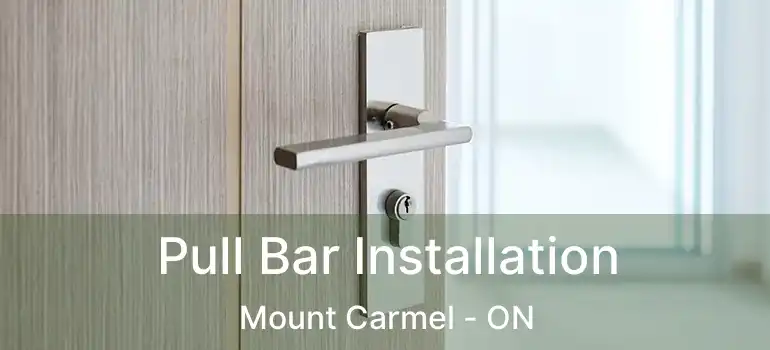  Pull Bar Installation Mount Carmel - ON