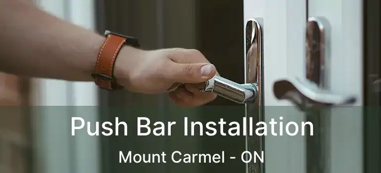  Push Bar Installation Mount Carmel - ON