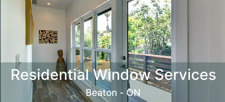  Residential Window Services Beaton - ON