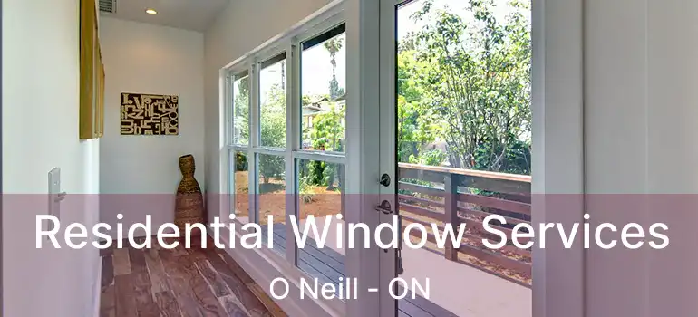  Residential Window Services O Neill - ON