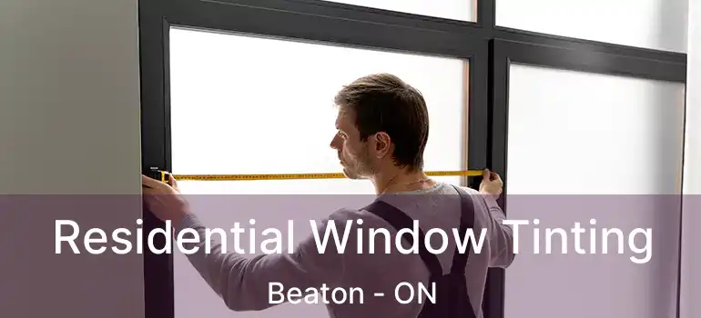  Residential Window Tinting Beaton - ON