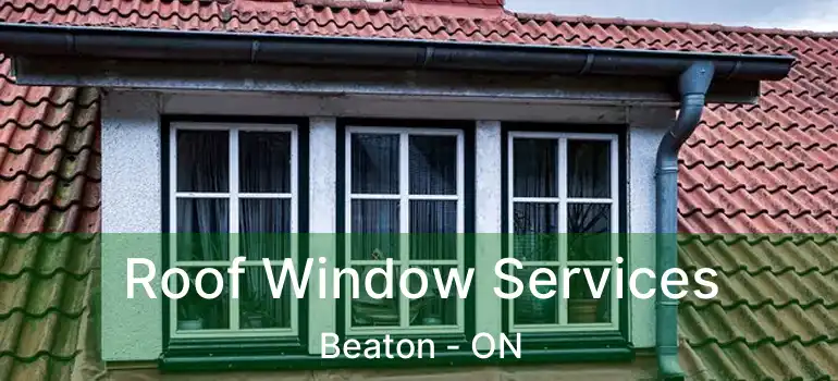  Roof Window Services Beaton - ON