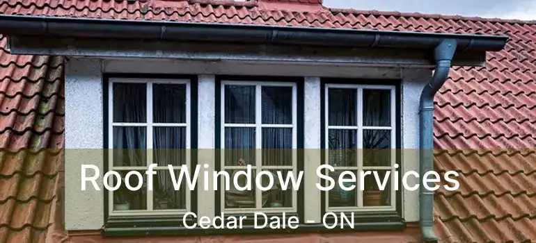  Roof Window Services Cedar Dale - ON