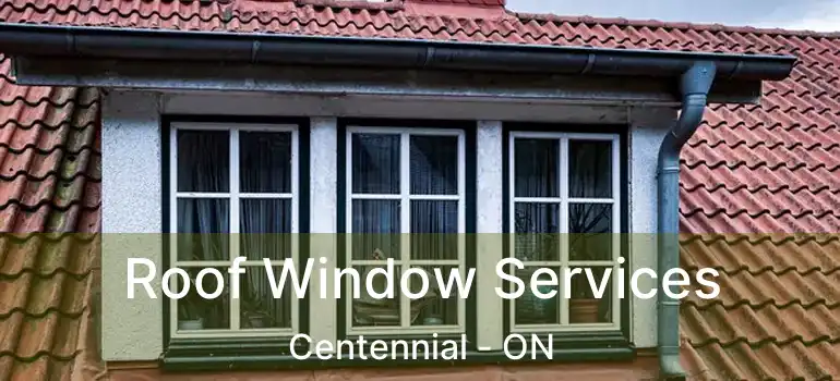  Roof Window Services Centennial - ON