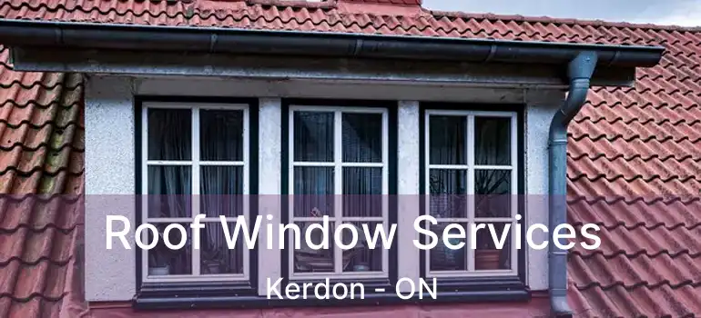  Roof Window Services Kerdon - ON