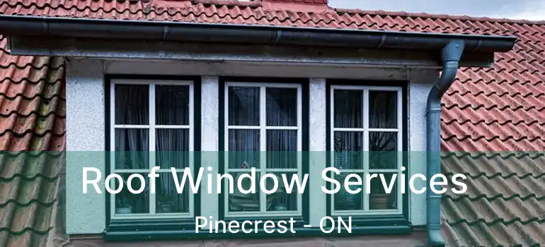  Roof Window Services Pinecrest - ON