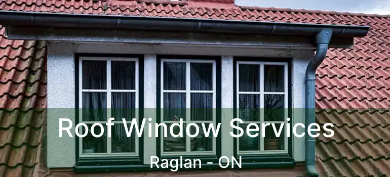  Roof Window Services Raglan - ON