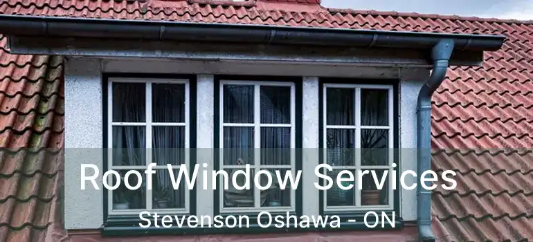  Roof Window Services Stevenson Oshawa - ON