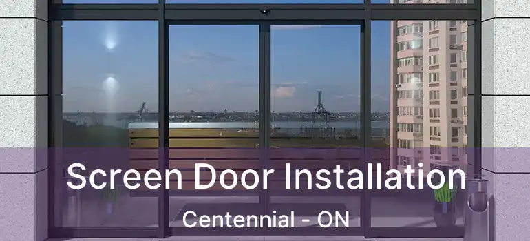  Screen Door Installation Centennial - ON