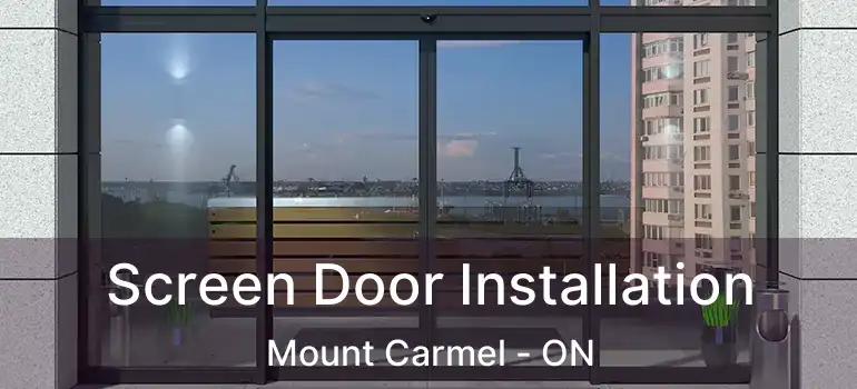  Screen Door Installation Mount Carmel - ON