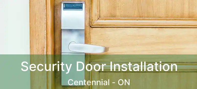  Security Door Installation Centennial - ON