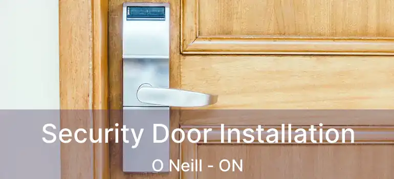  Security Door Installation O Neill - ON