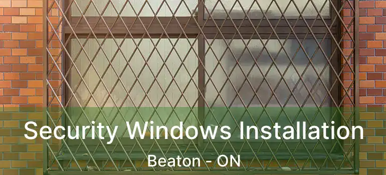  Security Windows Installation Beaton - ON