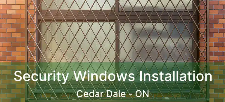  Security Windows Installation Cedar Dale - ON