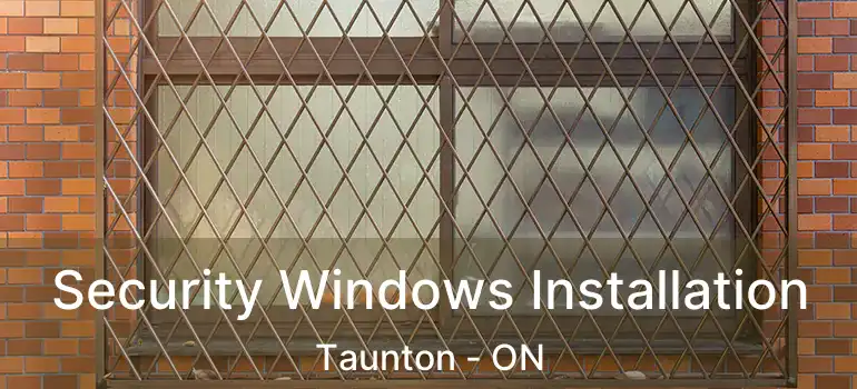  Security Windows Installation Taunton - ON