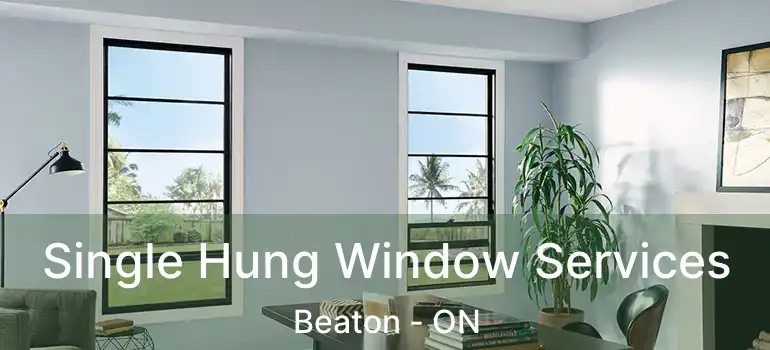  Single Hung Window Services Beaton - ON