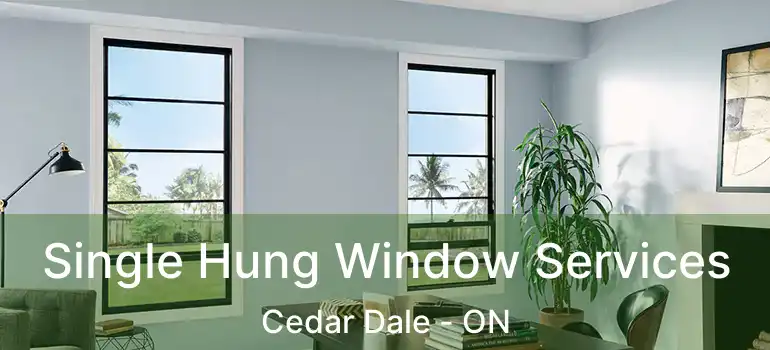  Single Hung Window Services Cedar Dale - ON