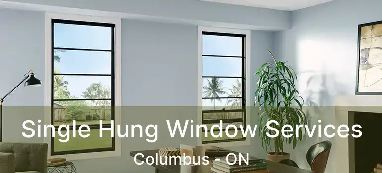  Single Hung Window Services Columbus - ON