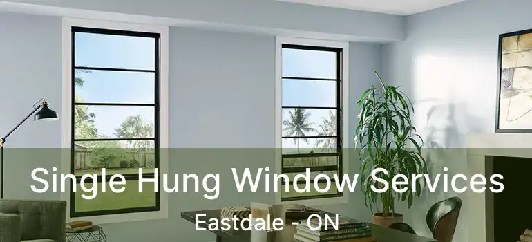  Single Hung Window Services Eastdale - ON