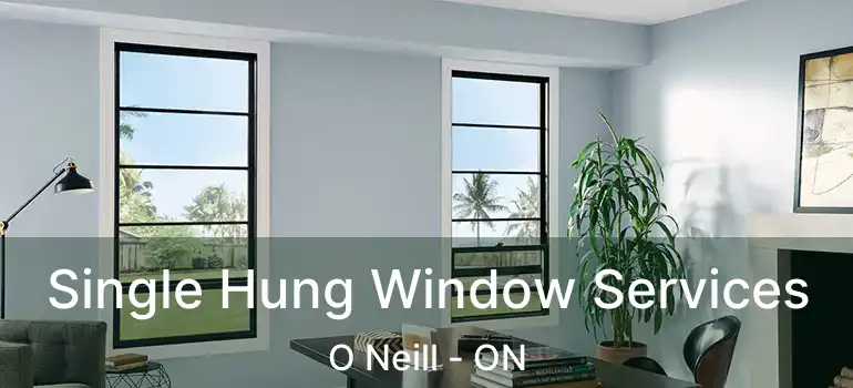  Single Hung Window Services O Neill - ON