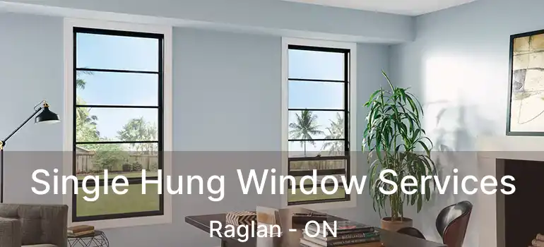  Single Hung Window Services Raglan - ON