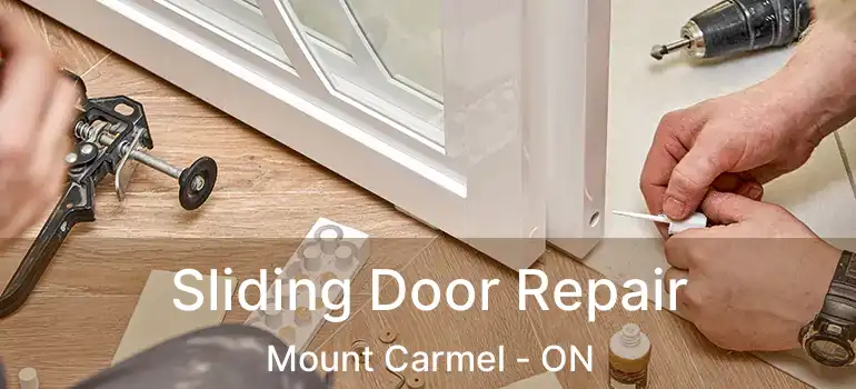  Sliding Door Repair Mount Carmel - ON