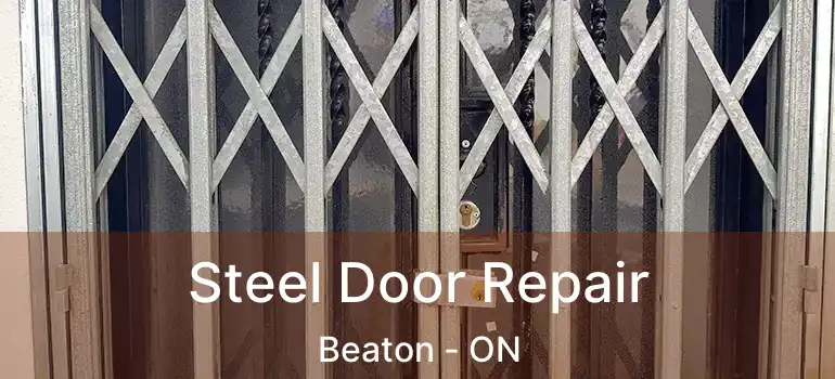  Steel Door Repair Beaton - ON