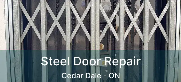  Steel Door Repair Cedar Dale - ON