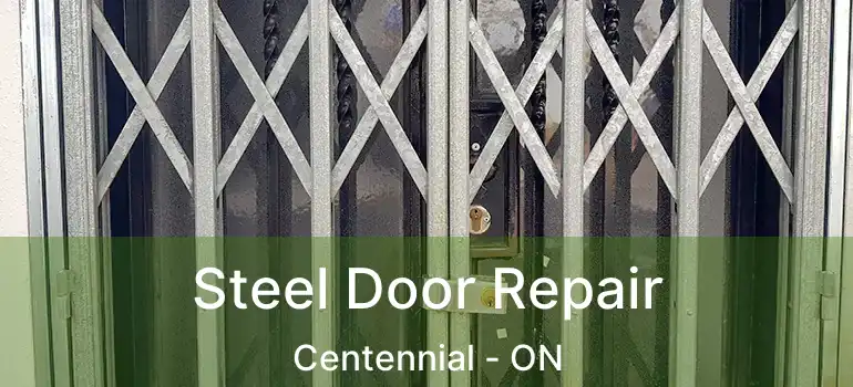  Steel Door Repair Centennial - ON