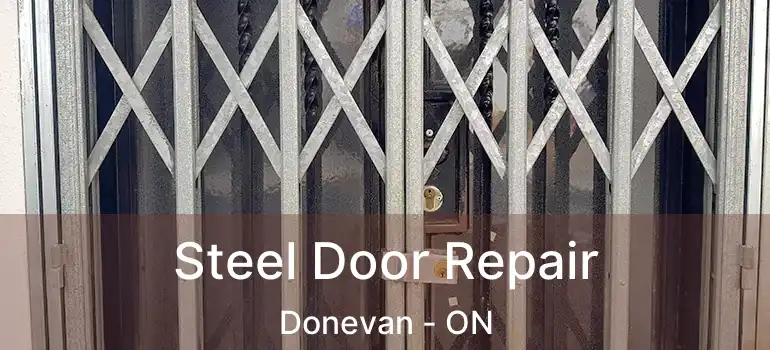  Steel Door Repair Donevan - ON