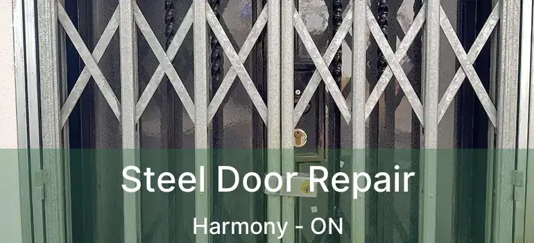  Steel Door Repair Harmony - ON