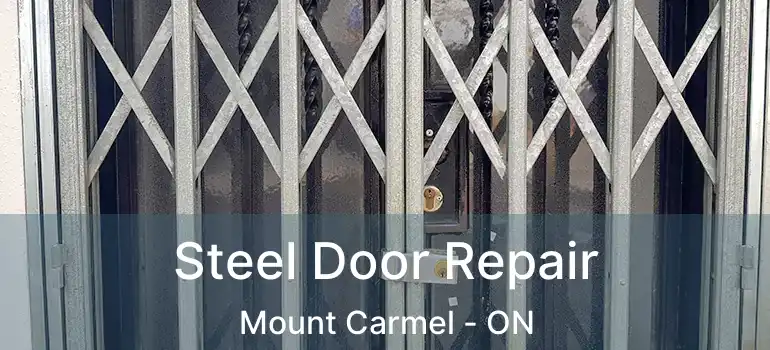  Steel Door Repair Mount Carmel - ON