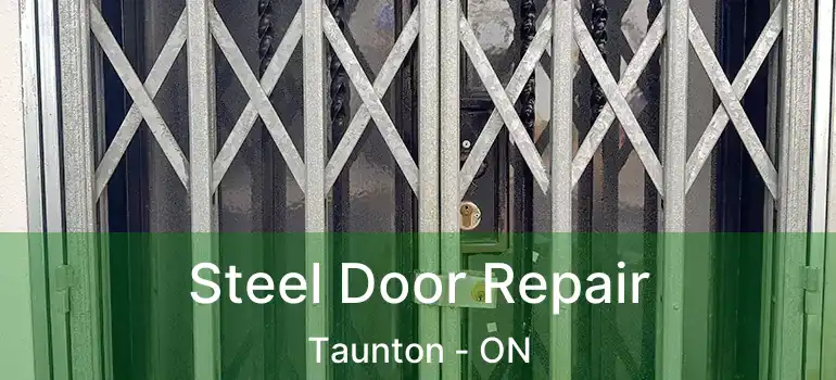  Steel Door Repair Taunton - ON